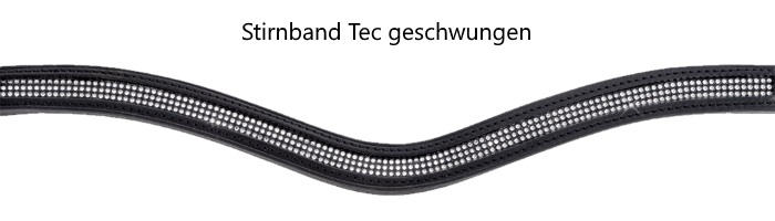 Tec geschwungen.jpg